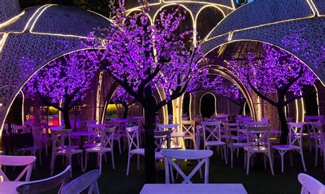 Best Things to Do in Cebu at Night » Shellwanders.